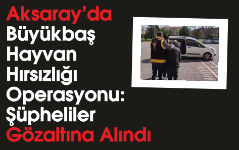 Aksaray'da Büyükbaş Hayvan Hırsızlığı Operasyonu: Şüpheliler Gözaltına Alındı, Tutuklandı