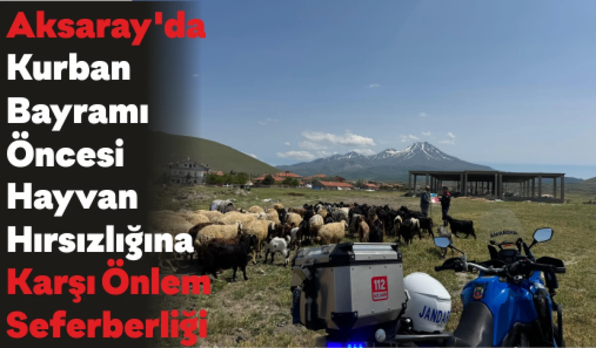 Aksaray'da Kurban Bayramı Öncesi Hayvan Hırsızlığına Karşı Önlem Seferberliği
